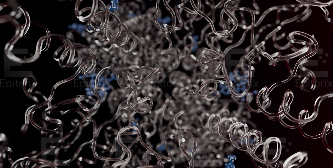 1Z8L · PSMA (FOLH1) target