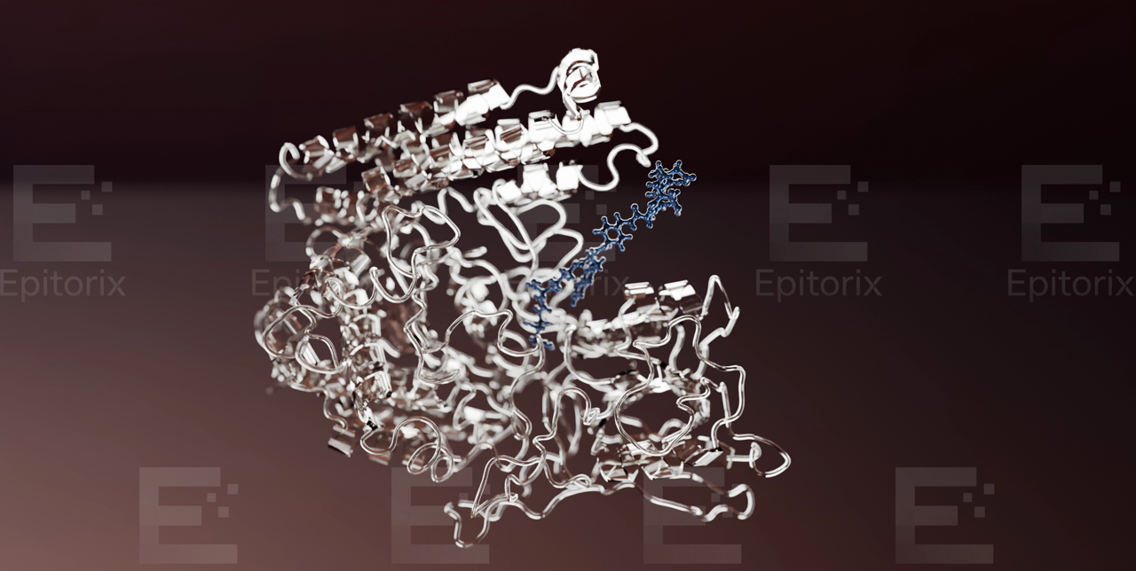 Cinematic path-traced render of a protein–peptide complex from the Epitorix Studio